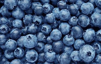 Blueberries